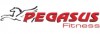 Pegasus® Sunny BC‑89503-RD Καθιστό Ποδήλατο (Π-104-RD)